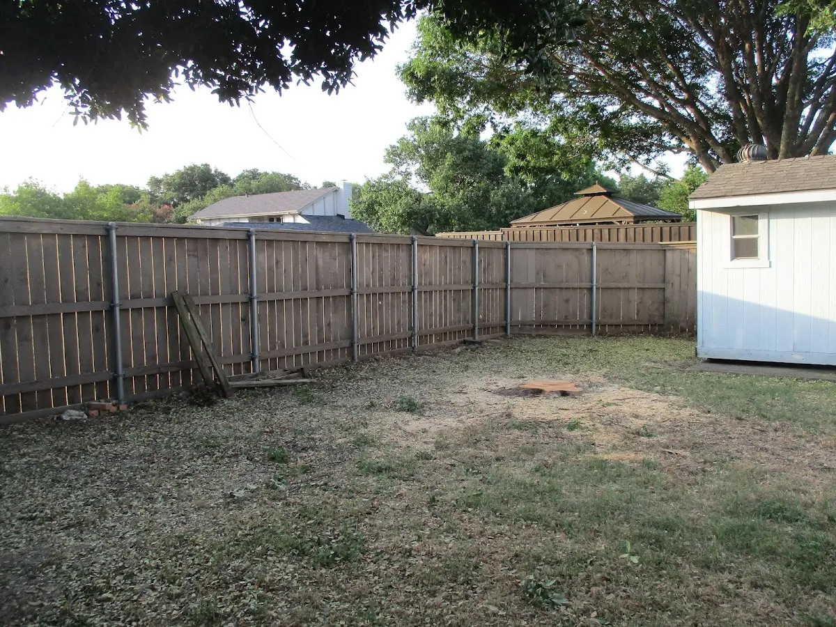 Cleared yard after professional tree removal in Turtlepoint